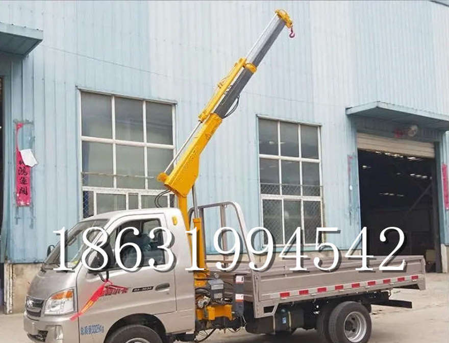 个旧市车载吊机小吊机220V小型车载吊机1/2吨吊机吊车车载个旧市附近